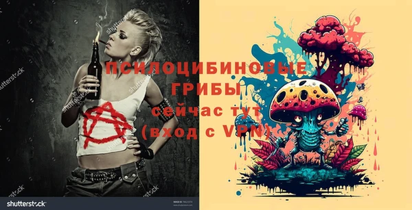 дмт Баксан